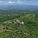 Ventena Vecchia Antico Frantoio