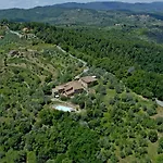 Ventena Vecchia Antico Frantoio *