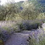 Ventena Vecchia Antico Frantoio דירה מונטווארקי