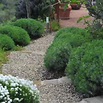 Ventena Vecchia Antico Frantoio דירה