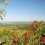 Ventena Vecchia Antico Frantoio *
