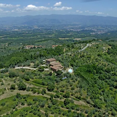 Ventena Vecchia Antico Frantoio