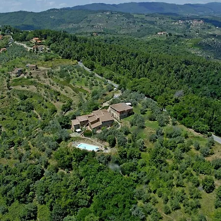 Ventena Vecchia Antico Frantoio *