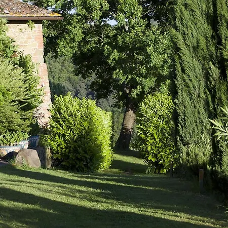 Daire Ventena Vecchia Antico Frantoio Montevarchi