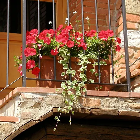 Ventena Vecchia Antico Frantoio *