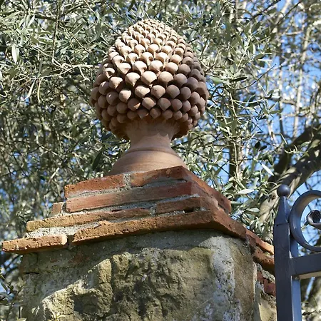 Ventena Vecchia Antico Frantoio Daire