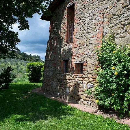 Ventena Vecchia Antico Frantoio Montevarchi