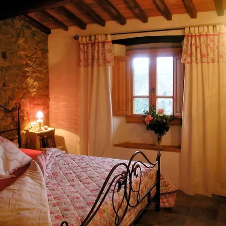 Ventena Vecchia Antico Frantoio *