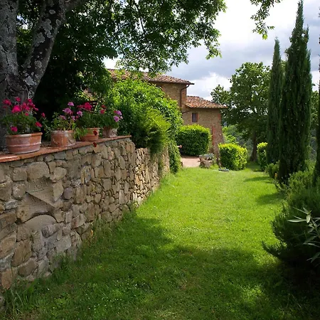 Ventena Vecchia Antico Frantoio * Montevarchi