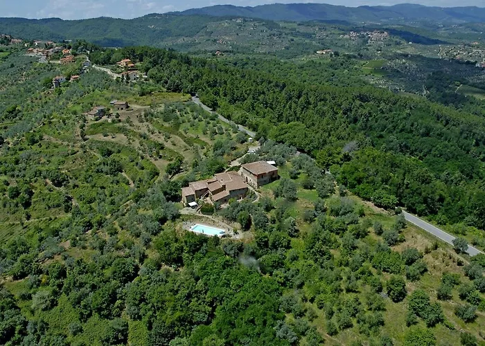 Ventena Vecchia Antico Frantoio *