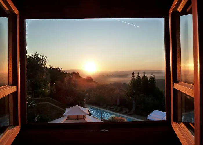 Ventena Vecchia Antico Frantoio 蒙特瓦尔基