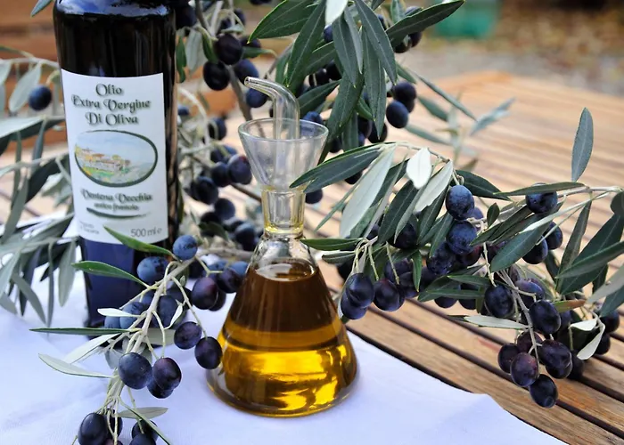 公寓 Ventena Vecchia Antico Frantoio 蒙特瓦尔基