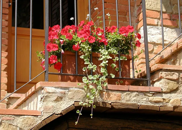 Ventena Vecchia Antico Frantoio *