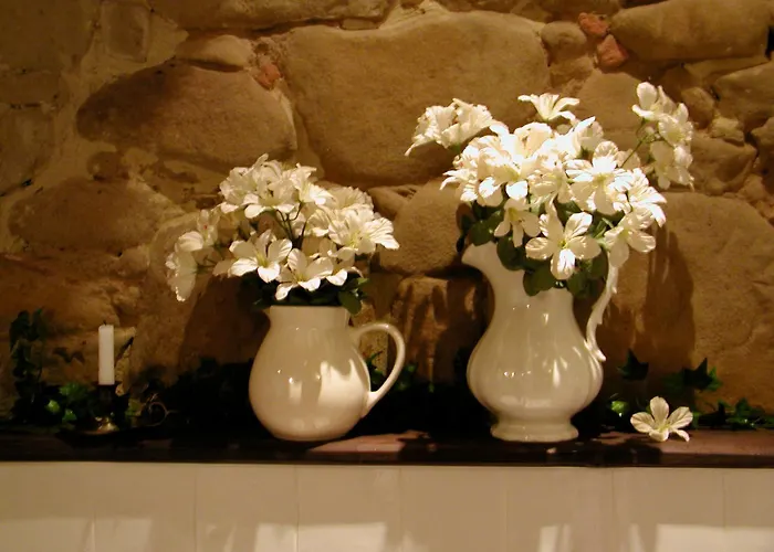 公寓 Ventena Vecchia Antico Frantoio 蒙特瓦尔基