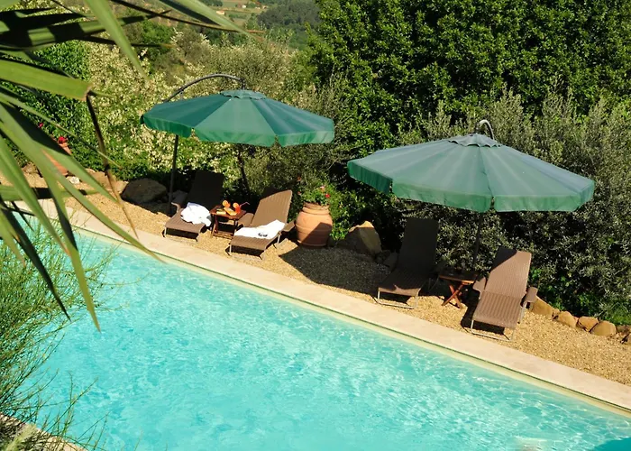 Ventena Vecchia Antico Frantoio