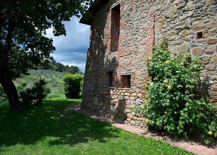 Ventena Vecchia Antico Frantoio 蒙特瓦尔基