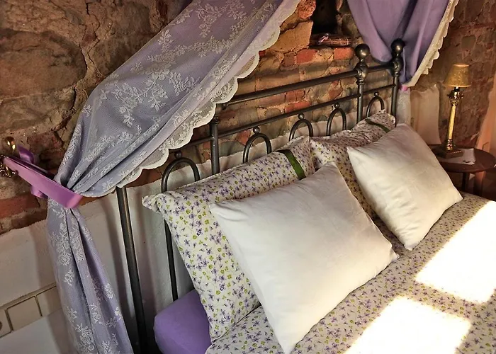 Ventena Vecchia Antico Frantoio 蒙特瓦尔基