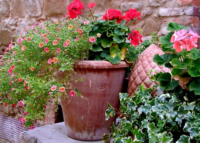 Ventena Vecchia Antico Frantoio