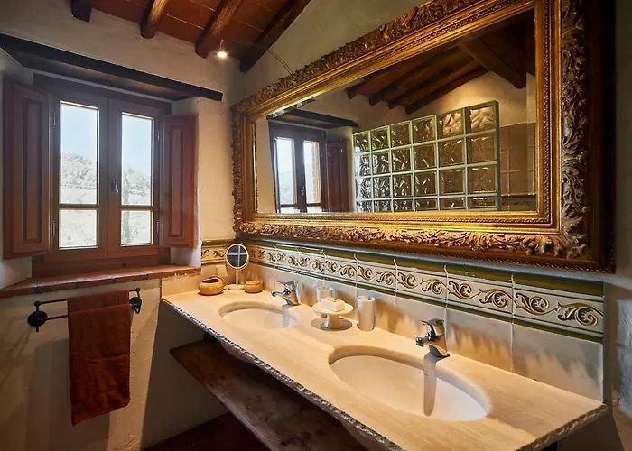 公寓 Ventena Vecchia Antico Frantoio 蒙特瓦尔基