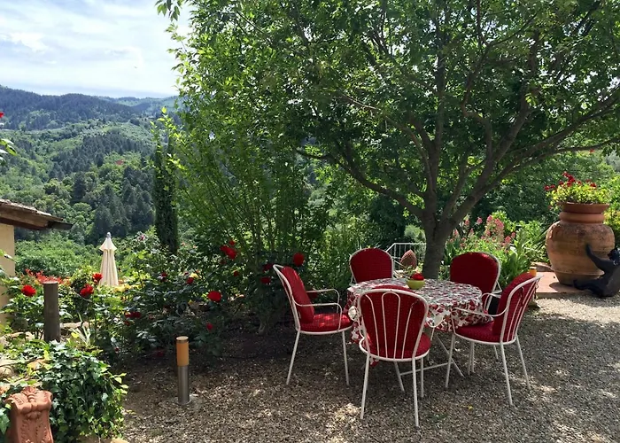 Ventena Vecchia Antico Frantoio *