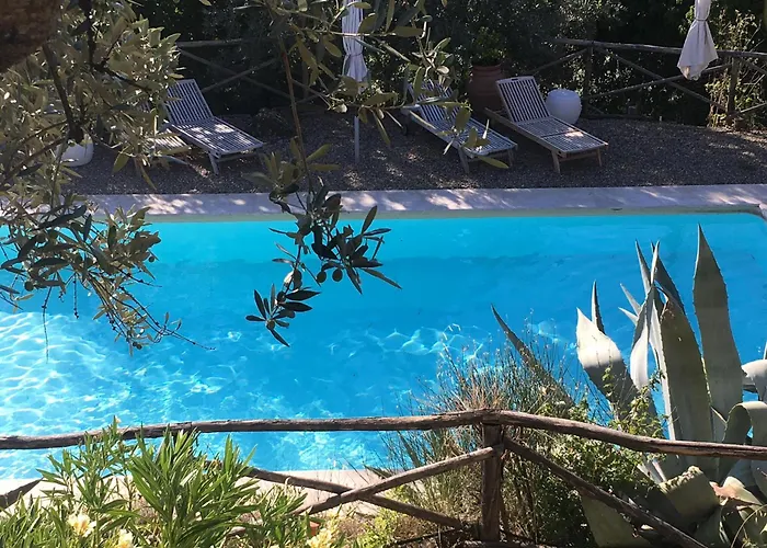 Ventena Vecchia Antico Frantoio *